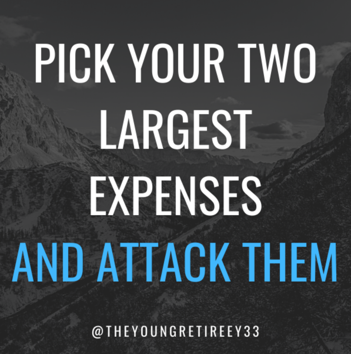 Two Largest expenses and attack them